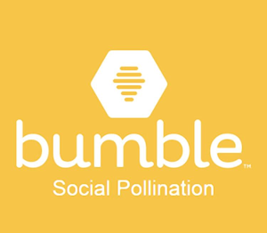 BubbleBizz Career Feature