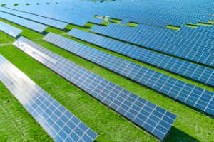 Match Group will be Carbon Neutral by March 2022