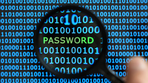 Fling username and password Fling username and password