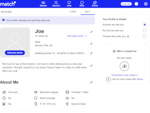 match profile review desktop